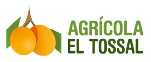 Agrícola El Tossal. Mayorista de frutas y hortalizas